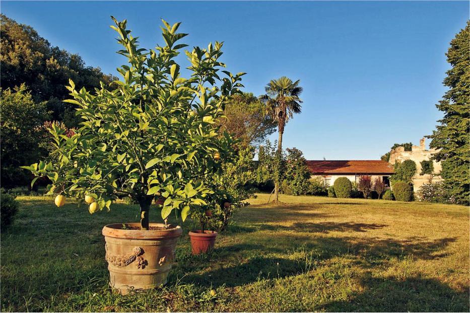 Fattoria Agriturismo Bigongiari Lucca Exterior photo